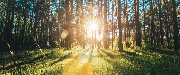 Banner linking to https://planonsoftware.com/uk/resources/webinars/how-fm-contributes-to-corporate-esg/?utm_source=smart-buildings-magazine&utm_medium=content-distribution-network-email&utm_campaign=uk-roundtable-how-fm-contributes-to-corporate-esg-iwsu