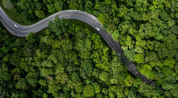 How to navigate net zero