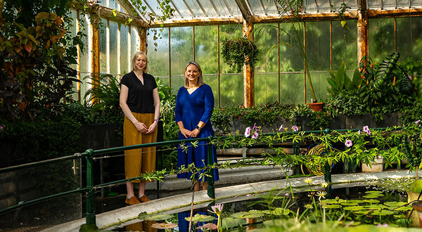 Royal Botanic Gardens, Kew and Schneider Electric establish strategic partnership