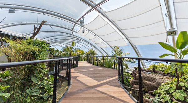 Priva selected for Marwell Zoo’s new Tropical House