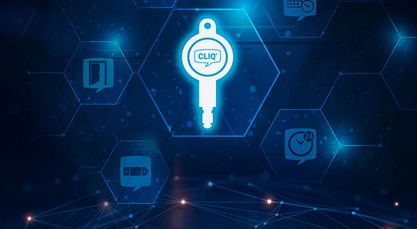 Keys or access control? Why not both?