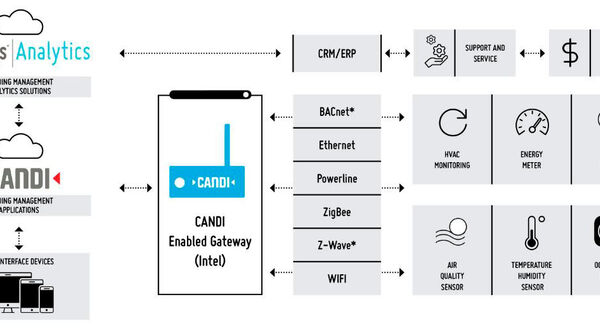 Altair and Candi collaborate