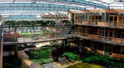 Optimising utilisation of university buildings