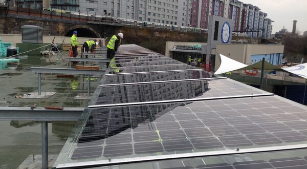 Saving cats and dogs